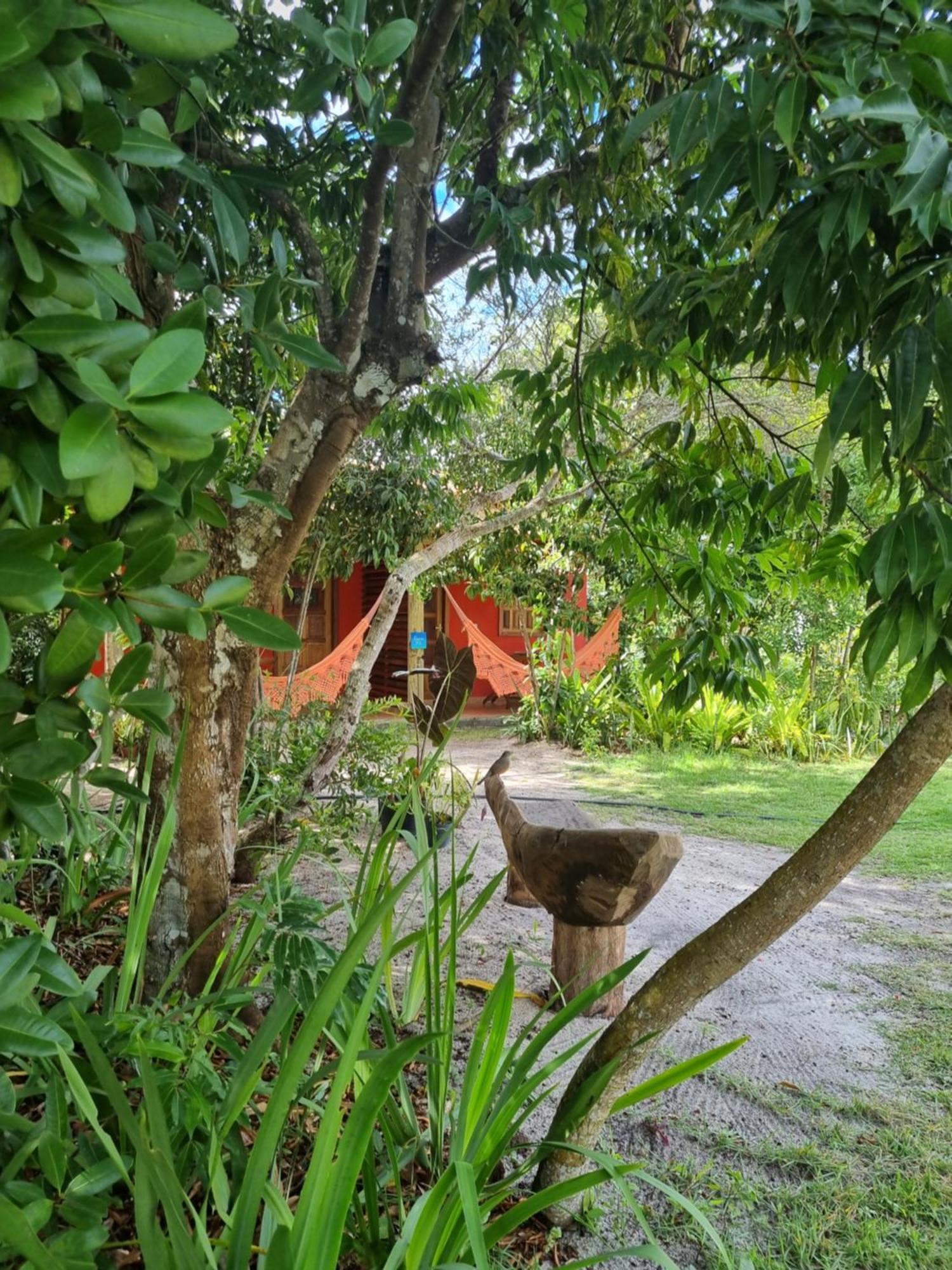 Pousada Quintal Dos Sonhos Xando Caraíva エクステリア 写真